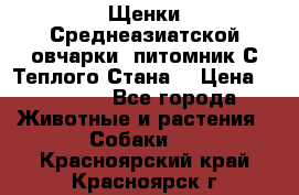 Щенки Среднеазиатской овчарки (питомник С Теплого Стана) › Цена ­ 20 000 - Все города Животные и растения » Собаки   . Красноярский край,Красноярск г.